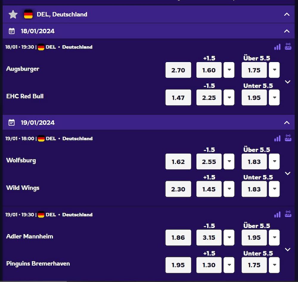 Was sind Eishockey Wetten?